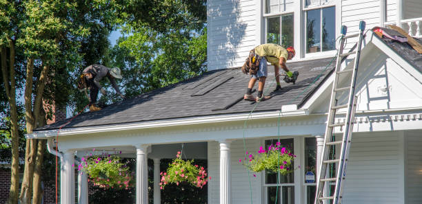 Best Roof Moss and Algae Removal  in Nd Lake, WI